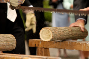 sawing wedding log