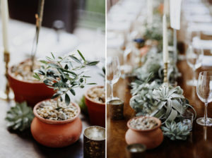 potted plants table setting