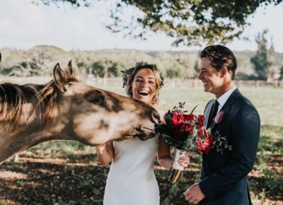 smiling bride and groom petting a brown horse outdoors, everyone looks very happy