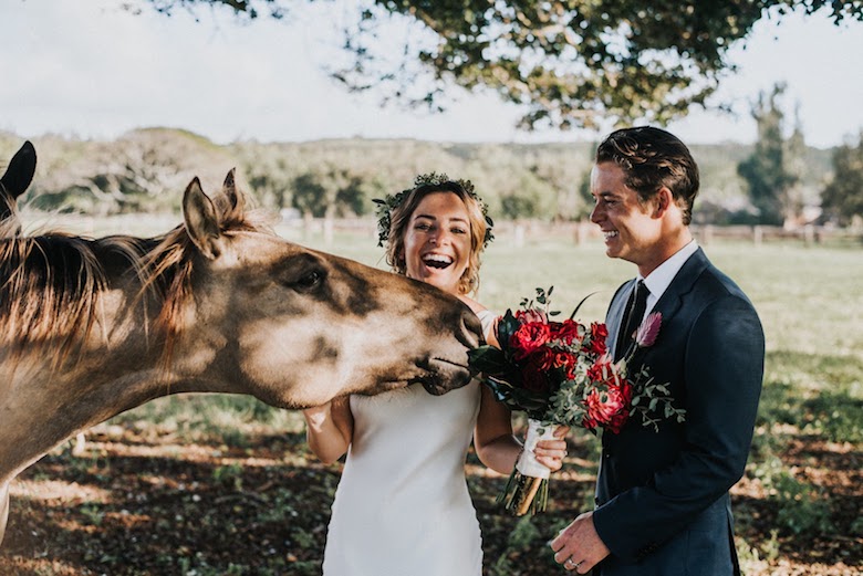 smiling bride and groom petting a brown horse outdoors, everyone looks very happy