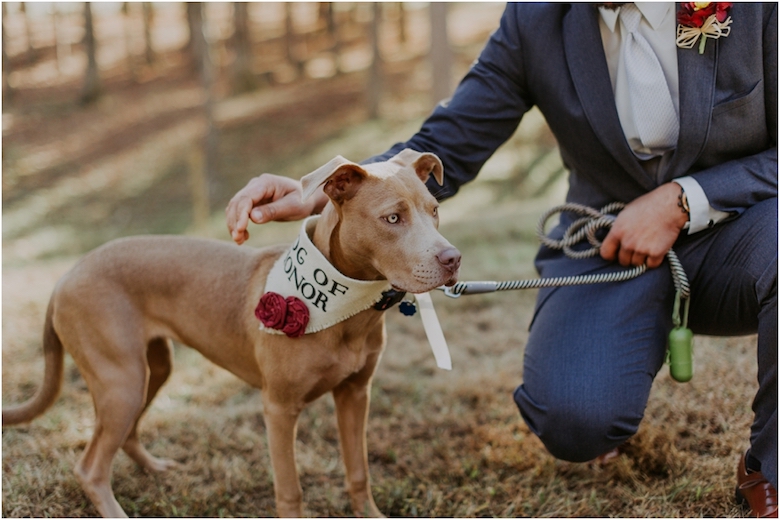 dog as man of honor at whimsical wedding