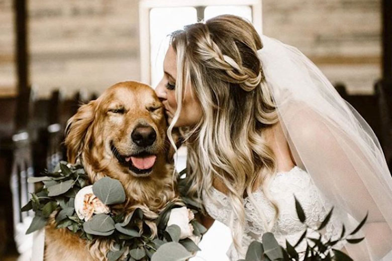 bride kissing golden retriever dog wearing flower collar