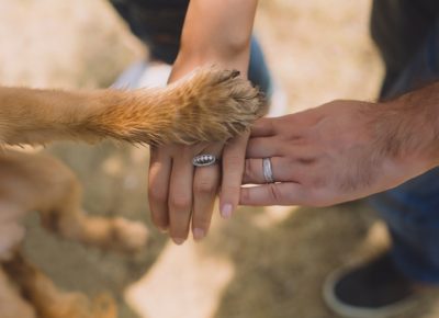 bride, groom, and dog putting hands together