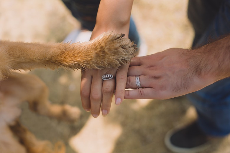 bride, groom, and dog putting hands together