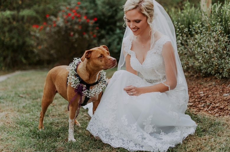 bride with dog 
