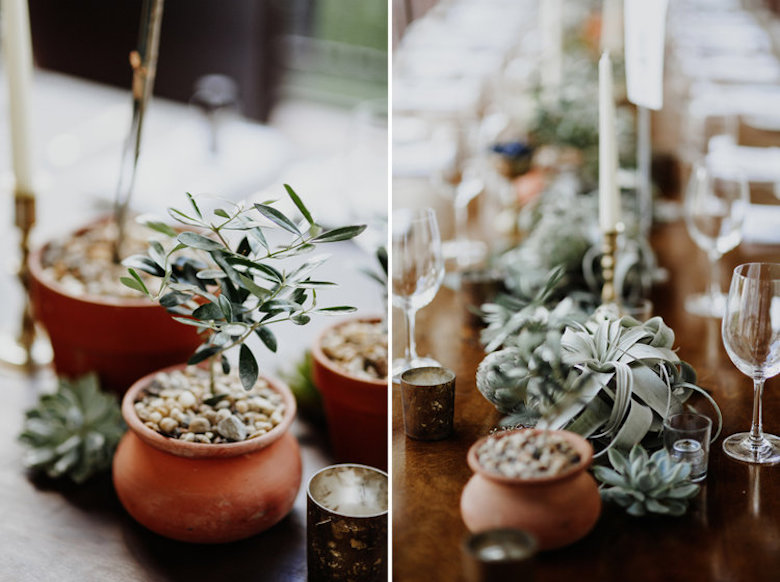 tiny plants as summer wedding centerpieces
